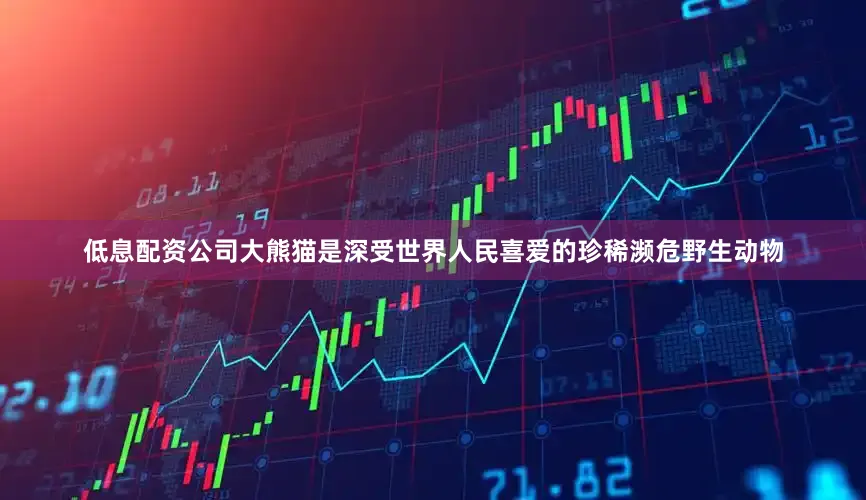 低息配资公司大熊猫是深受世界人民喜爱的珍稀濒危野生动物