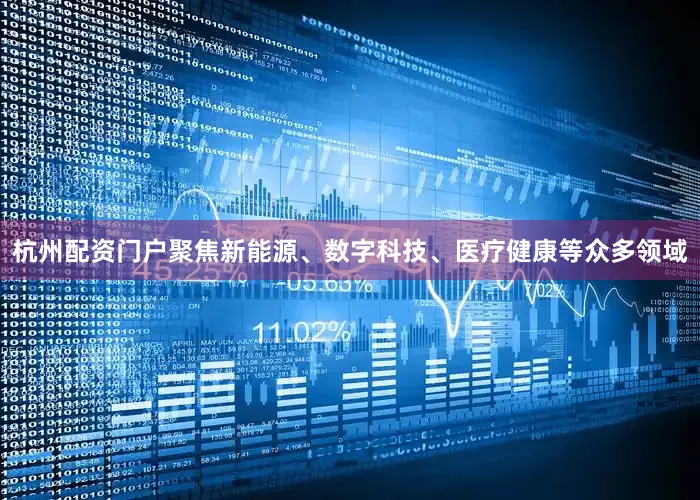 杭州配资门户聚焦新能源、数字科技、医疗健康等众多领域