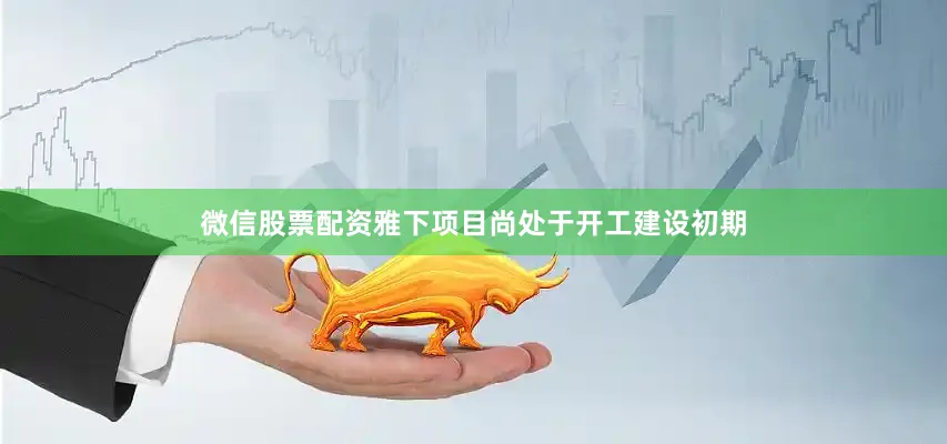 微信股票配资雅下项目尚处于开工建设初期