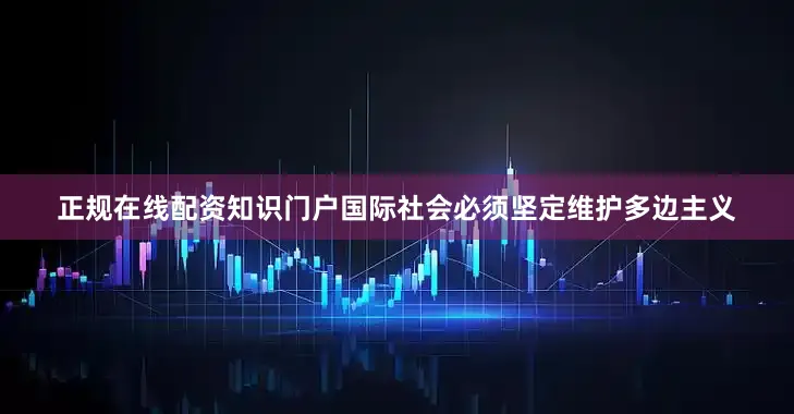 正规在线配资知识门户国际社会必须坚定维护多边主义