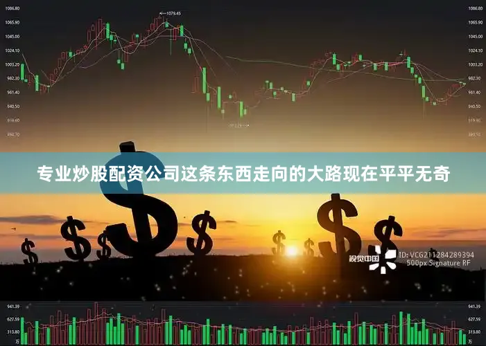 专业炒股配资公司这条东西走向的大路现在平平无奇