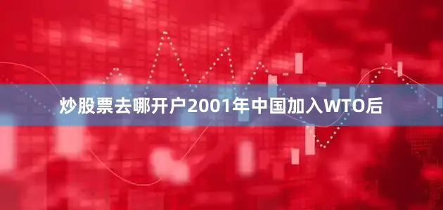 炒股票去哪开户2001年中国加入WTO后